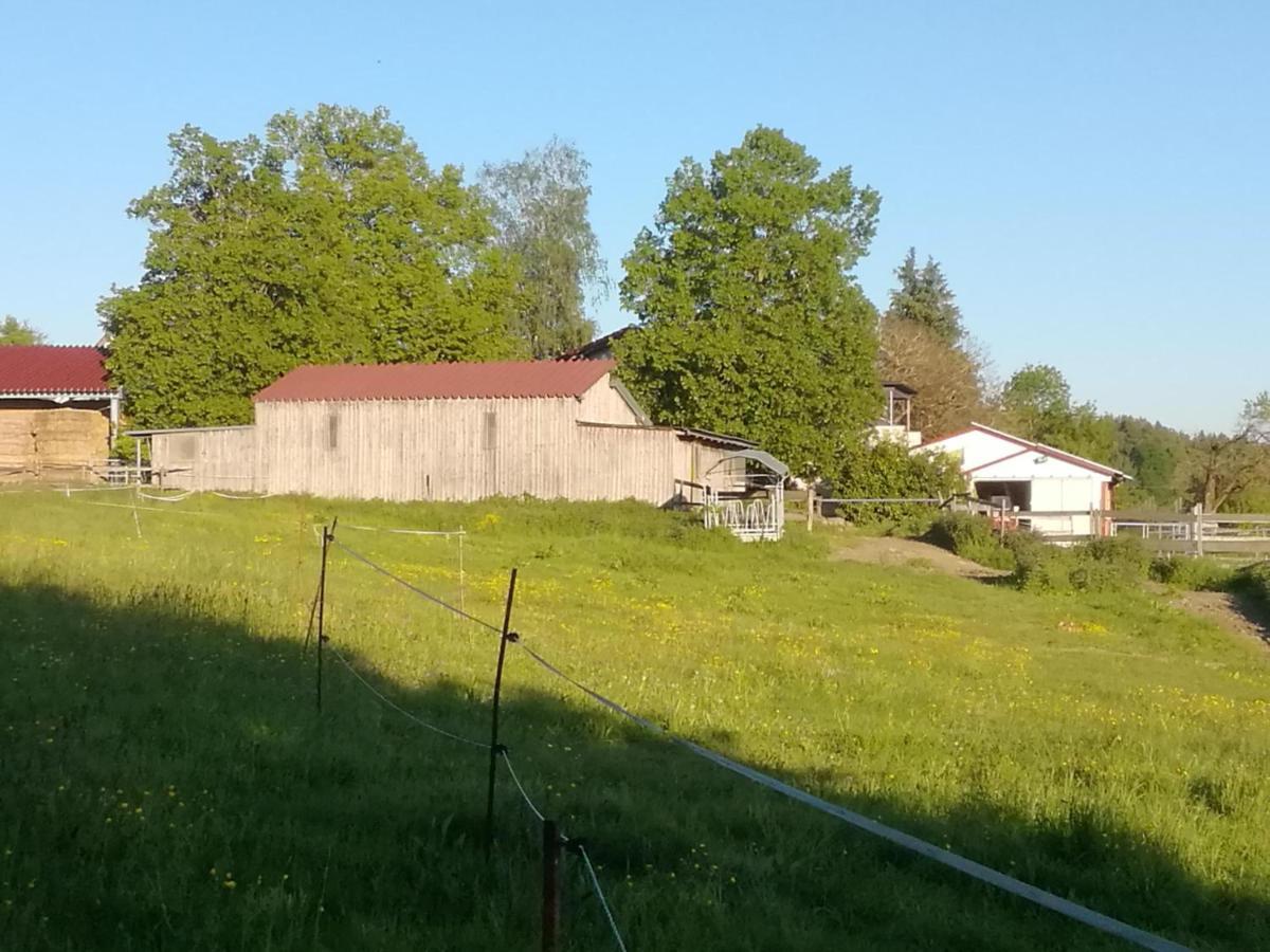 Ferienwohnung Lochdomizil Grunkraut Exterior foto